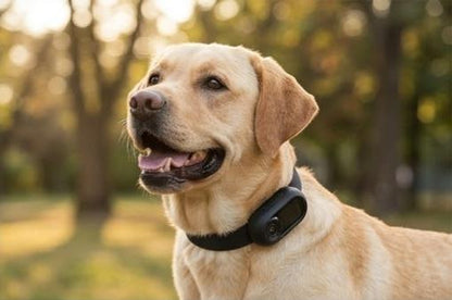 TOLZU Smart Pet Camera Collar